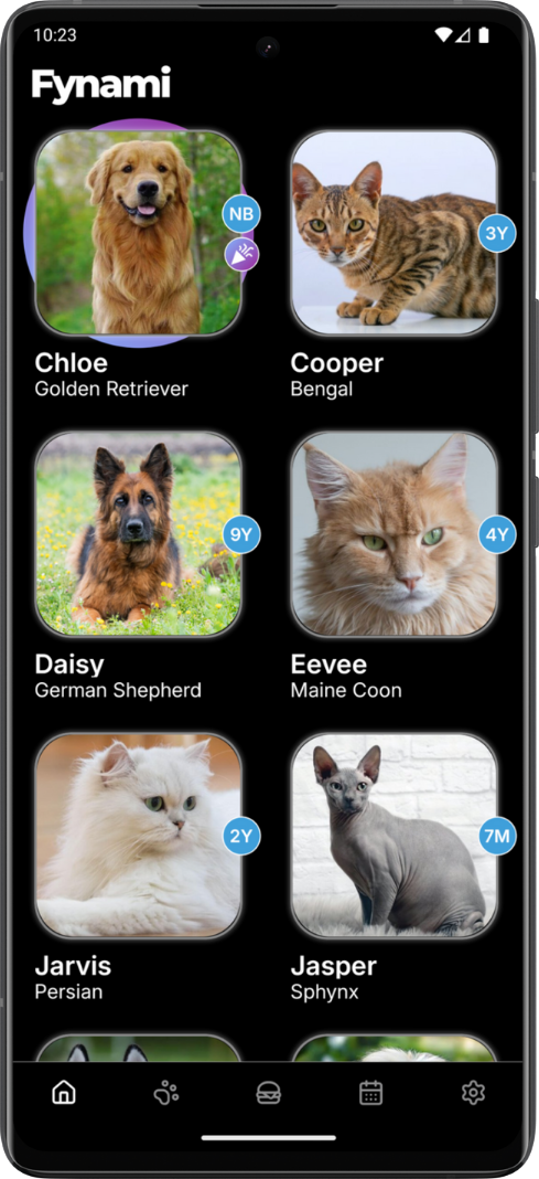 Pets